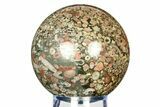 Colorful Fossil Crinoid Stems In Marble Sphere #308693-1